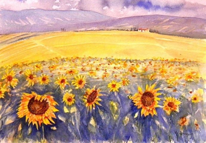 Tuscan sunflower fields - by Michael Gahagan.