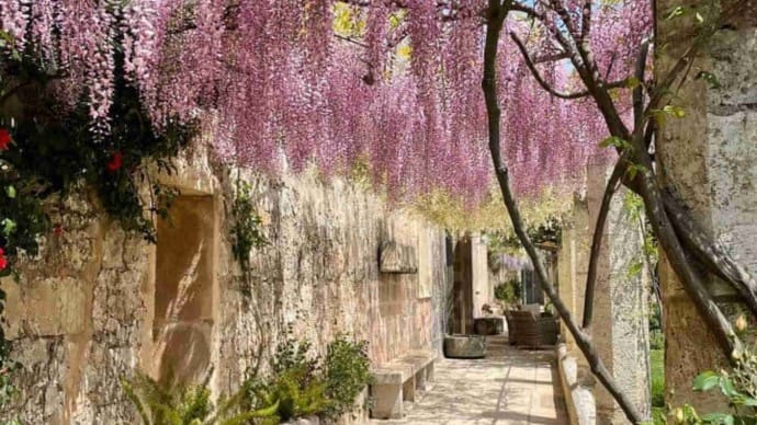 Wisteria Walkway