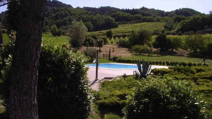 Villa Brisighella pool view 1