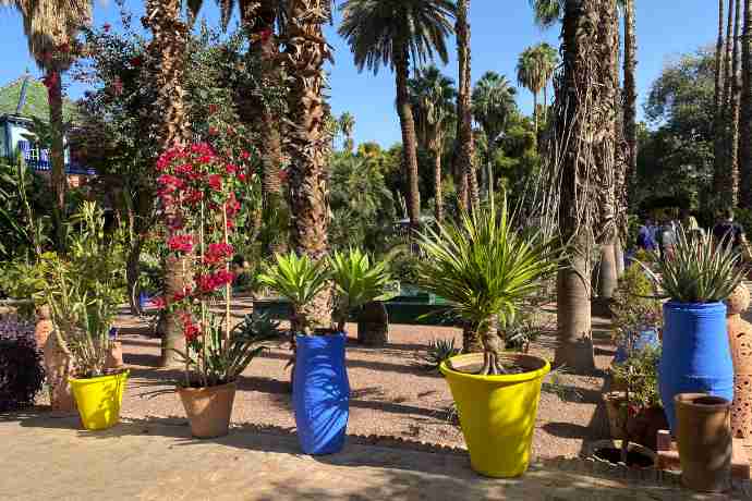 Majorelle Gardens.